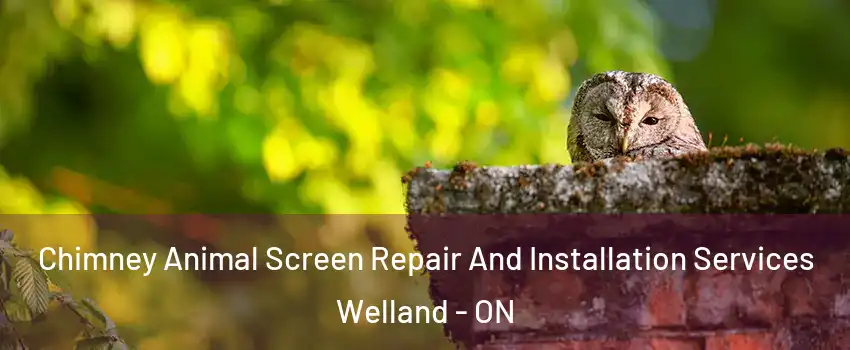  Chimney Animal Screen Repair And Installation Services Welland - ON