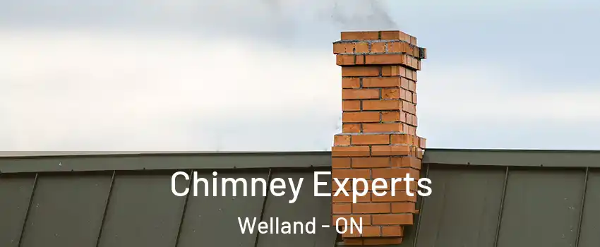 Chimney Experts Welland - ON