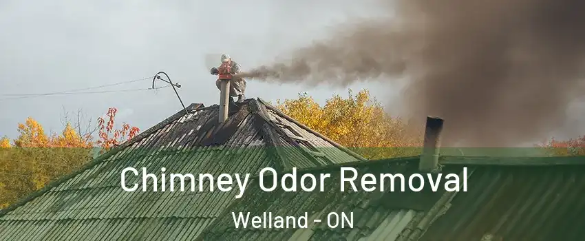  Chimney Odor Removal Welland - ON
