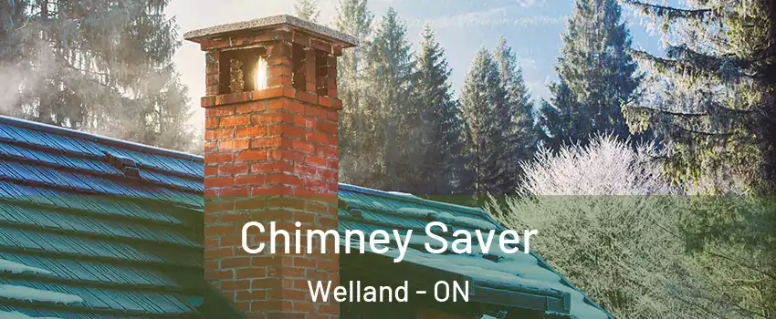 Chimney Saver Welland - ON