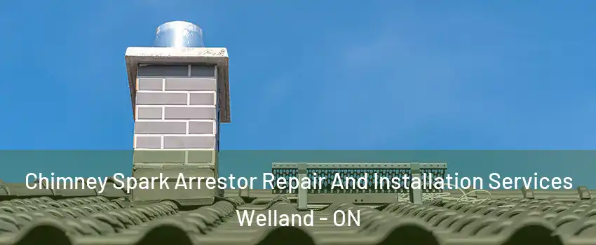  Chimney Spark Arrestor Repair And Installation Services Welland - ON