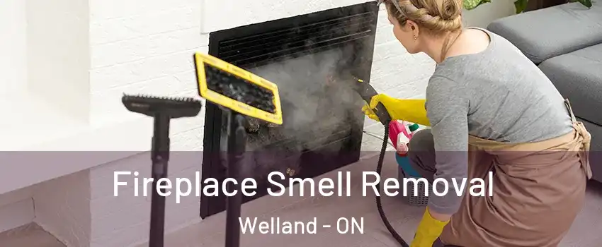  Fireplace Smell Removal Welland - ON