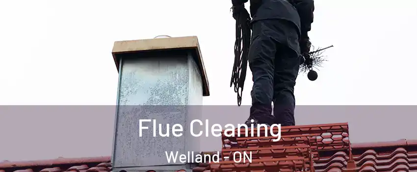  Flue Cleaning Welland - ON