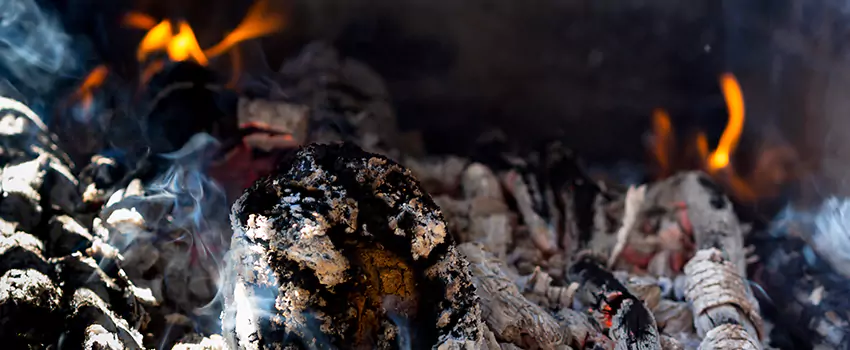 Creosote Removal Experts in Welland, ON