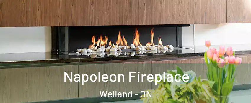  Napoleon Fireplace Welland - ON