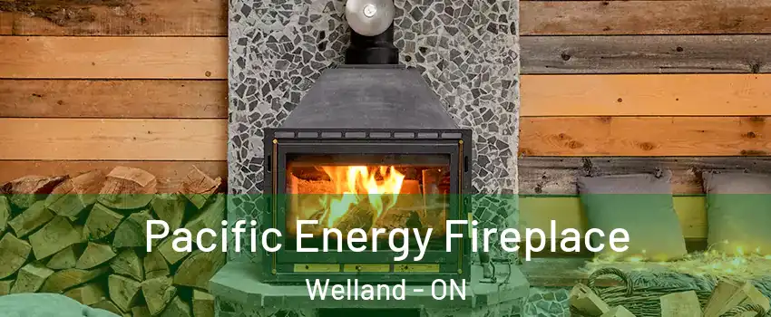  Pacific Energy Fireplace Welland - ON